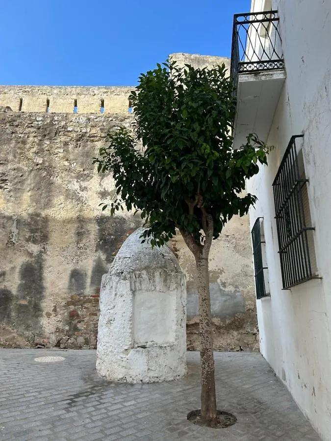 فيلا Duplex Centro Historico تريفة